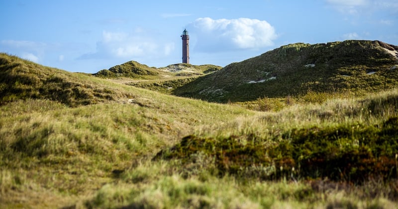 Norderney mit Kindern: Die 11 besten Erlebnisse für die ganze Familie