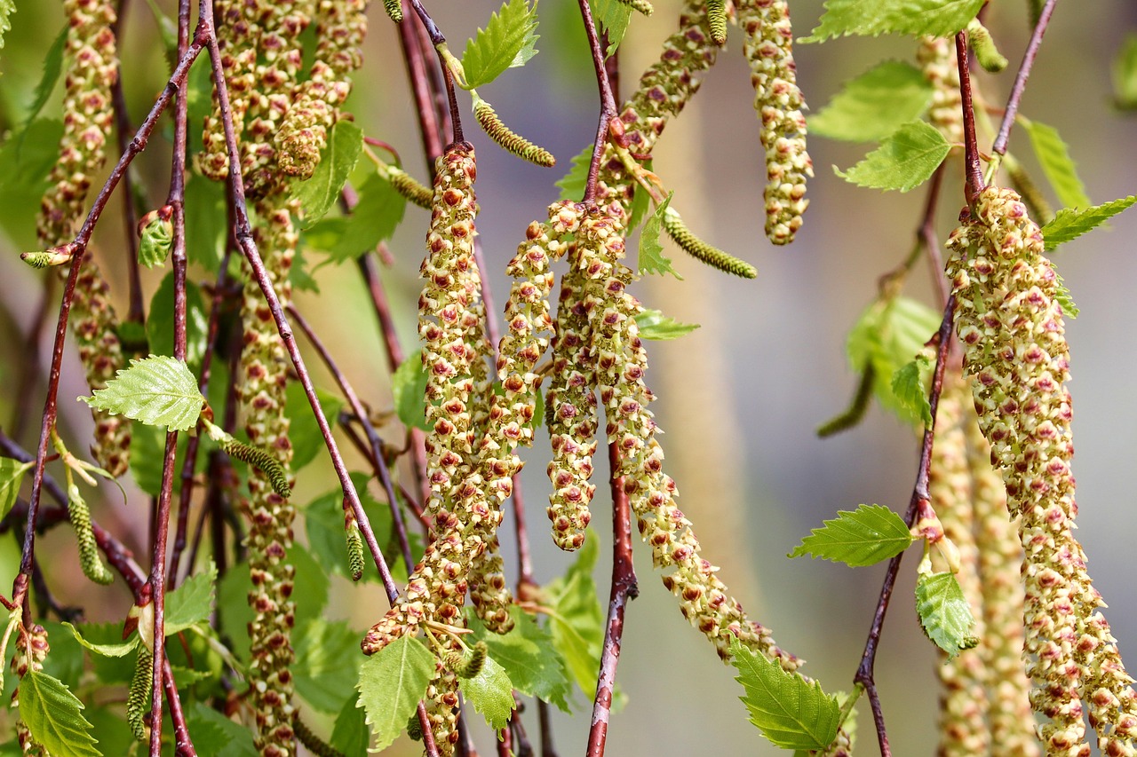 erfahren sie alles über allergien: ursachen, symptome und behandlungsmöglichkeiten. holen sie sich wertvolle tipps zur allergieprävention und entdecken sie, wie sie ihre beschwerden lindern können.