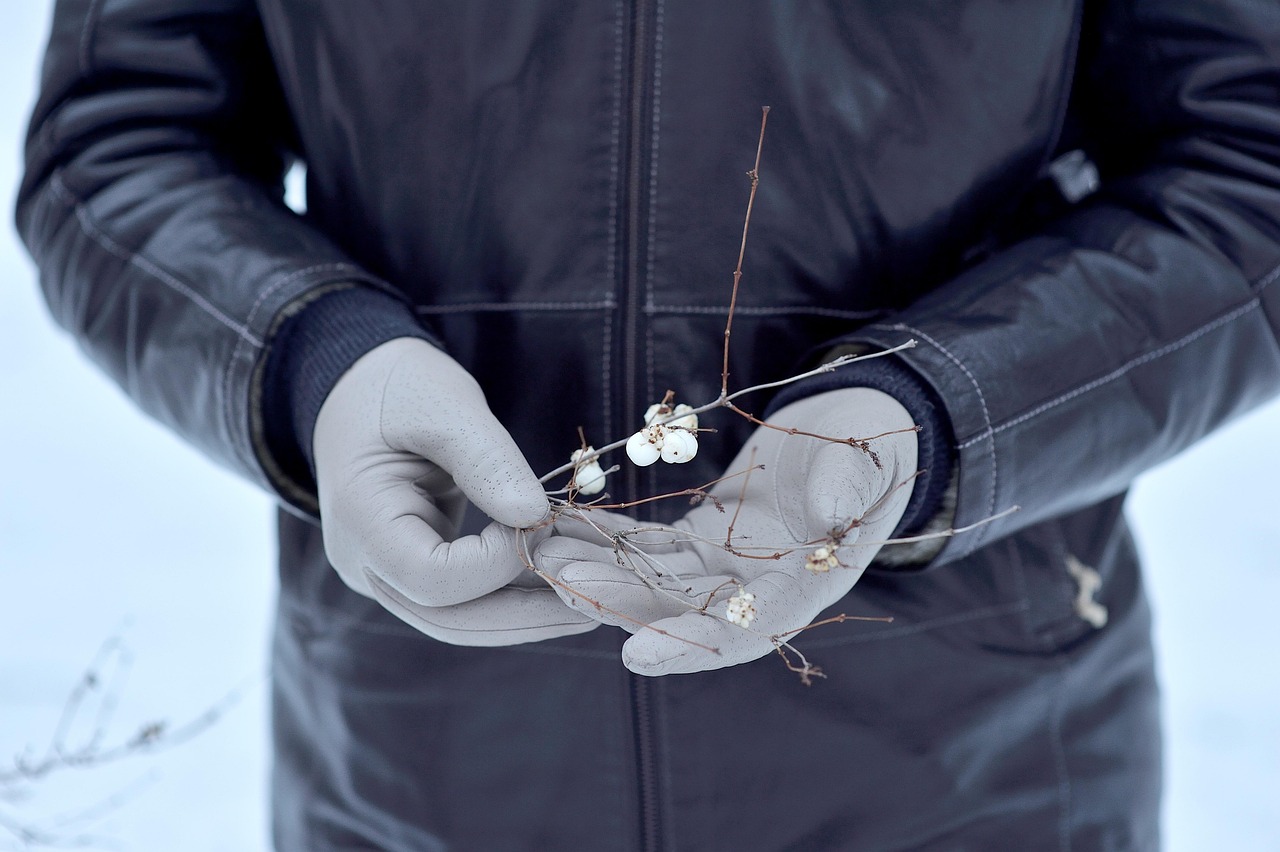hochwertige lederpflege für langanhaltenden schutz und perfekten glanz. entdecken sie unsere tipps und produkte zur optimalen lederreinigung und -pflege.