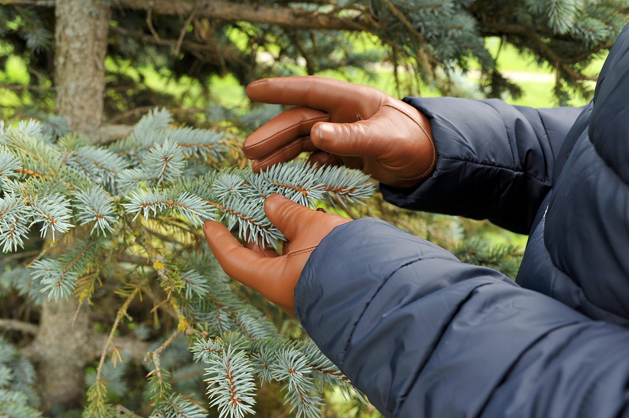 hochwertige lederpflege für langlebige und geschützte lederprodukte. entdecken sie tipps und produkte zur optimalen pflege ihres leders.